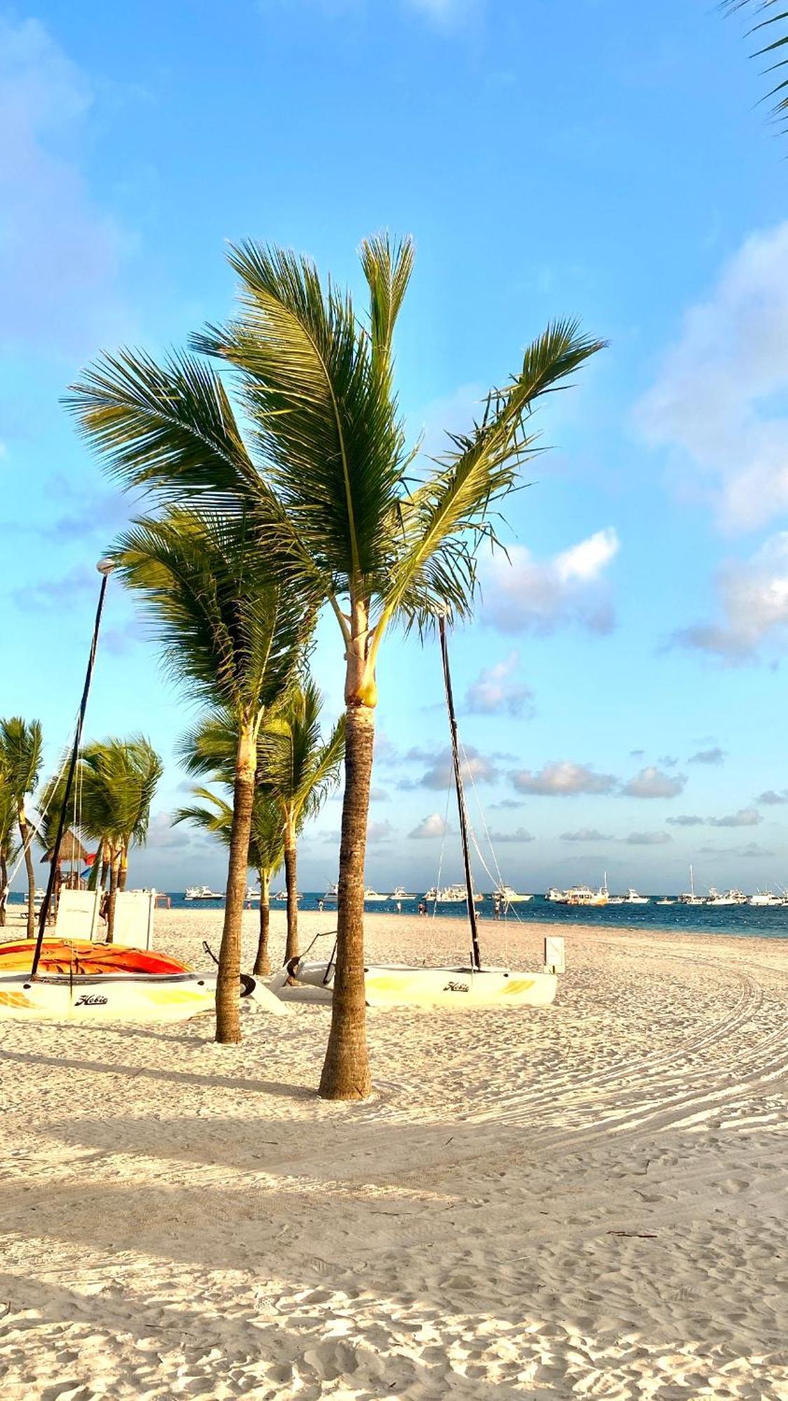 Paradise Close To The Beach Pool Free Parking,Wifi- Punta Cana Extérieur photo